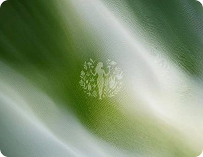 EthVida emblem on a soft green abstract background